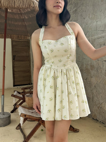 Margot mini dress (FLORAL)