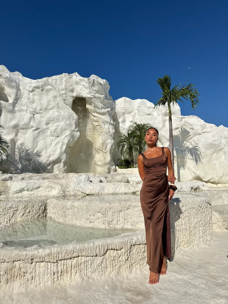 Charlotte silk dress (Pre-order)